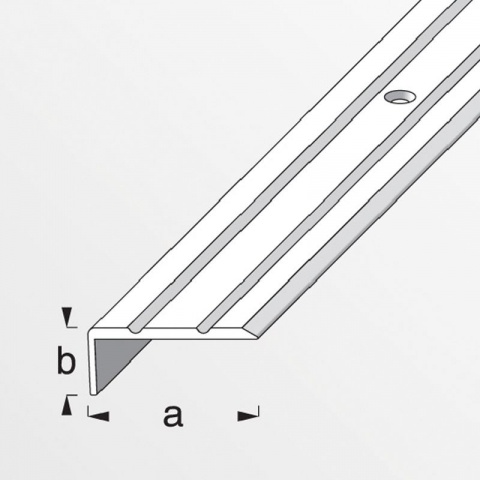 Alfer Προφίλ για Τελείωμα Πατωμάτων / Σκαλοπατιών βιδωτό από Ανοδιωμένο Αλουμίνιο 25 x 10mm - 1m Χρυσό