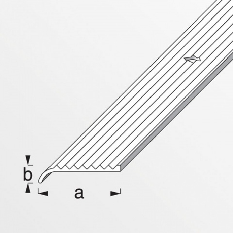 Alfer Προφίλ Μοκέτας με Στρογγυλό Τελείωμα Βιδωτό από Ανοδιωμένο Αλουμίνιο a: 25 x b: 6mm - 1m Ασημί