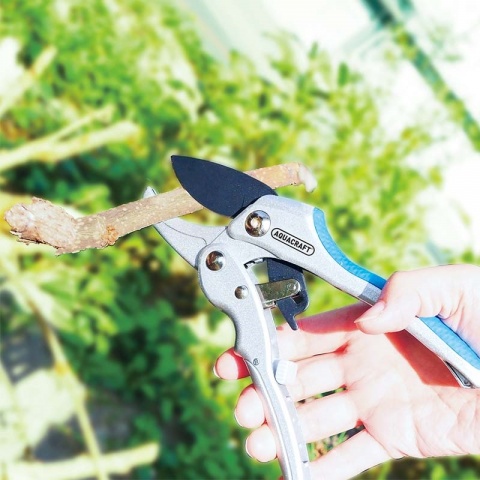 AQUACRAFT Ψαλίδι Κήπου EASY CUT 2 σε 1 με Καστάνια ANVIL