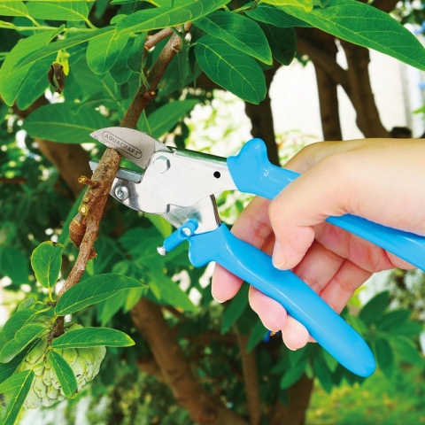 AQUACRAFT Ψαλίδι Κήπου Χειρός για Κλαδιά ANVIL