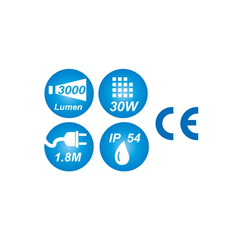 Προβολέας 30w-230v- 1,8m 3000l