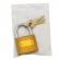 Luggage Pad Iron 25 x 42mm